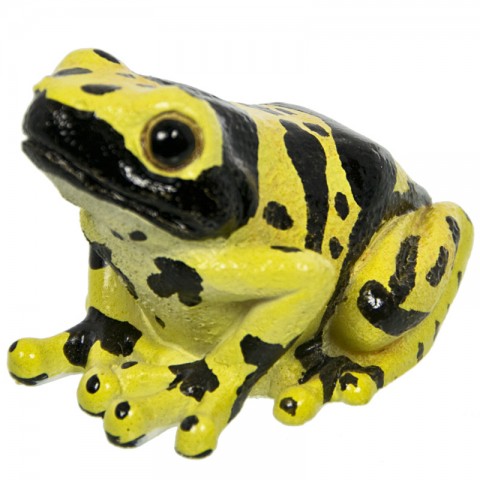 Tempat Paper Clip Katak Magnet - Yellow Banded Poison Dart Frog