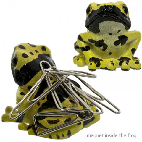 Tempat Paper Clip Katak Magnet - Yellow Banded Poison Dart Frog