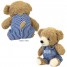 Boneka Beruang Dousin Edisi Spesial - Teddy Bear Small Baju Biru