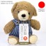 Boneka Beruang Dousin Edisi Spesial - Teddy Bear Small Baju Biru